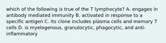 which of the following is true of the T lymphocyte? A. engages in antibody mediated immunity B. activated in response to a specific antigen C. its clone includes plasma cells and memory T cells D. is myelogenous, granulocytic, phagocytic, and anti-inflammatory