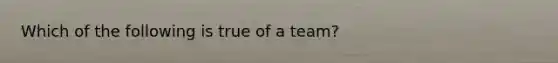 Which of the following is true of a team?