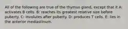 All of the following are true of the thymus gland, except that it A: activates B cells. B: reaches its greatest relative size before puberty. C: involutes after puberty. D: produces T cells. E: lies in the anterior mediastinum.