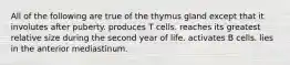 All of the following are true of the thymus gland except that it involutes after puberty. produces T cells. reaches its greatest relative size during the second year of life. activates B cells. lies in the anterior mediastinum.