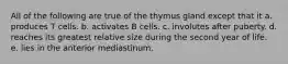 All of the following are true of the thymus gland except that it a. produces T cells. b. activates B cells. c. involutes after puberty. d. reaches its greatest relative size during the second year of life. e. lies in the anterior mediastinum.