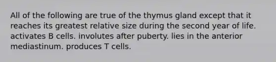 All of the following are true of the thymus gland except that it reaches its greatest relative size during the second year of life. activates B cells. involutes after puberty. lies in the anterior mediastinum. produces T cells.