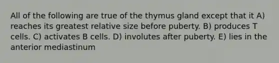 All of the following are true of the thymus gland except that it A) reaches its greatest relative size before puberty. B) produces T cells. C) activates B cells. D) involutes after puberty. E) lies in the anterior mediastinum