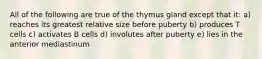 All of the following are true of the thymus gland except that it: a) reaches its greatest relative size before puberty b) produces T cells c) activates B cells d) involutes after puberty e) lies in the anterior mediastinum