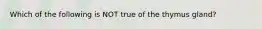 Which of the following is NOT true of the thymus gland?