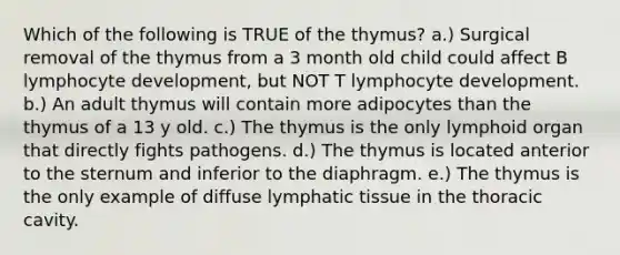 Which of the following is TRUE of the thymus? a.) Surgical removal of the thymus from a 3 month old child could affect B lymphocyte development, but NOT T lymphocyte development. b.) An adult thymus will contain more adipocytes than the thymus of a 13 y old. c.) The thymus is the only lymphoid organ that directly fights pathogens. d.) The thymus is located anterior to the sternum and inferior to the diaphragm. e.) The thymus is the only example of diffuse lymphatic tissue in the thoracic cavity.