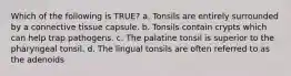 Which of the following is TRUE? a. Tonsils are entirely surrounded by a connective tissue capsule. b. Tonsils contain crypts which can help trap pathogens. c. The palatine tonsil is superior to the pharyngeal tonsil. d. The lingual tonsils are often referred to as the adenoids