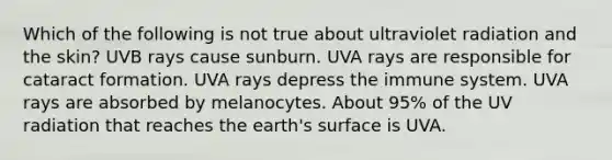 Which of the following is not true about ultraviolet radiation and the skin? UVB rays cause sunburn. UVA rays are responsible for cataract formation. UVA rays depress the immune system. UVA rays are absorbed by melanocytes. About 95% of the UV radiation that reaches the earth's surface is UVA.