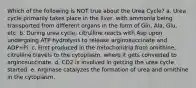 Which of the following is NOT true about the Urea Cycle? a. Urea cycle primarily takes place in the liver, with ammonia being transported from different organs in the form of Gln, Ala, Glu, etc. b. During urea cycle, citrulline reacts with Asp upon undergoing ATP hydrolysis to release arginosuccinate and ADP+Pi. c. First produced in the mitochondria from ornithine, citrulline travels to the cytoplasm, where it gets converted to arginosuccinate. d. CO2 is involved in getting the urea cycle started. e. Arginase catalyzes the formation of urea and ornithine in the cytoplasm.