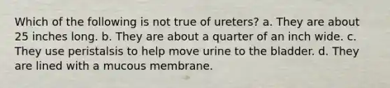 Which of the following is not true of ureters? a. They are about 25 inches long. b. They are about a quarter of an inch wide. c. They use peristalsis to help move urine to the bladder. d. They are lined with a mucous membrane.