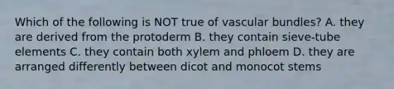 Which of the following is NOT true of vascular bundles? A. they are derived from the protoderm B. they contain sieve-tube elements C. they contain both xylem and phloem D. they are arranged differently between dicot and monocot stems