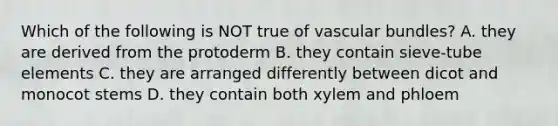 Which of the following is NOT true of vascular bundles? A. they are derived from the protoderm B. they contain sieve-tube elements C. they are arranged differently between dicot and monocot stems D. they contain both xylem and phloem