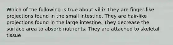 Which of the following is true about villi? They are finger-like projections found in <a href='https://www.questionai.com/knowledge/kt623fh5xn-the-small-intestine' class='anchor-knowledge'>the small intestine</a>. They are hair-like projections found in the <a href='https://www.questionai.com/knowledge/kGQjby07OK-large-intestine' class='anchor-knowledge'>large intestine</a>. They decrease the <a href='https://www.questionai.com/knowledge/kEtsSAPENL-surface-area' class='anchor-knowledge'>surface area</a> to absorb nutrients. They are attached to skeletal tissue