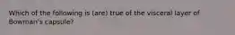 Which of the following is (are) true of the visceral layer of Bowman's capsule?