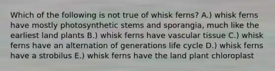 Which of the following is not true of whisk ferns? A.) whisk ferns have mostly photosynthetic stems and sporangia, much like the earliest land plants B.) whisk ferns have vascular tissue C.) whisk ferns have an alternation of generations life cycle D.) whisk ferns have a strobilus E.) whisk ferns have the land plant chloroplast