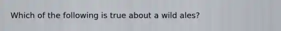 Which of the following is true about a wild ales?