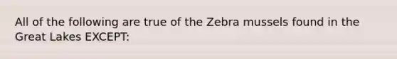 All of the following are true of the Zebra mussels found in the Great Lakes EXCEPT: