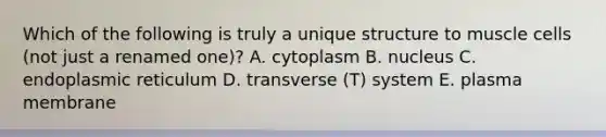 Which of the following is truly a unique structure to muscle cells (not just a renamed one)? A. cytoplasm B. nucleus C. endoplasmic reticulum D. transverse (T) system E. plasma membrane