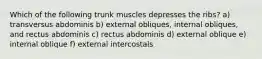 Which of the following trunk muscles depresses the ribs? a) transversus abdominis b) external obliques, internal obliques, and rectus abdominis c) rectus abdominis d) external oblique e) internal oblique f) external intercostals