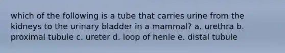 which of the following is a tube that carries urine from the kidneys to the <a href='https://www.questionai.com/knowledge/kb9SdfFdD9-urinary-bladder' class='anchor-knowledge'>urinary bladder</a> in a mammal? a. urethra b. proximal tubule c. ureter d. loop of henle e. distal tubule