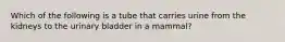 Which of the following is a tube that carries urine from the kidneys to the urinary bladder in a mammal?