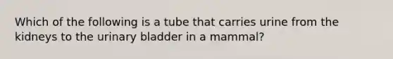 Which of the following is a tube that carries urine from the kidneys to the urinary bladder in a mammal?