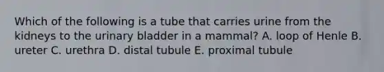 Which of the following is a tube that carries urine from the kidneys to the urinary bladder in a mammal? A. loop of Henle B. ureter C. urethra D. distal tubule E. proximal tubule