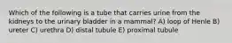 Which of the following is a tube that carries urine from the kidneys to the urinary bladder in a mammal? A) loop of Henle B) ureter C) urethra D) distal tubule E) proximal tubule