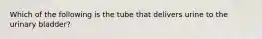 Which of the following is the tube that delivers urine to the urinary bladder?