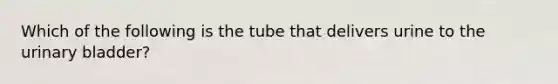 Which of the following is the tube that delivers urine to the urinary bladder?