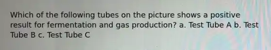 Which of the following tubes on the picture shows a positive result for fermentation and gas production? a. Test Tube A b. Test Tube B c. Test Tube C