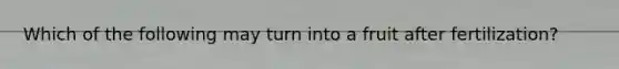 Which of the following may turn into a fruit after fertilization?