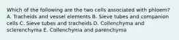 Which of the following are the two cells associated with phloem? A. Tracheids and vessel elements B. Sieve tubes and companion cells C. Sieve tubes and tracheids D. Collenchyma and sclerenchyma E. Collenchyma and parenchyma