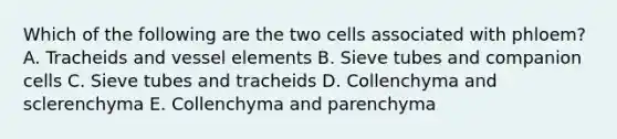 Which of the following are the two cells associated with phloem? A. Tracheids and vessel elements B. Sieve tubes and companion cells C. Sieve tubes and tracheids D. Collenchyma and sclerenchyma E. Collenchyma and parenchyma