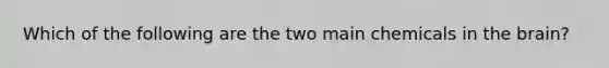 Which of the following are the two main chemicals in the brain?