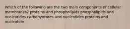 Which of the following are the two main components of cellular membranes? proteins and phospholipids phospholipids and nucleotides carbohydrates and nucleotides proteins and nucleotide