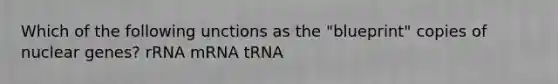 Which of the following unctions as the "blueprint" copies of nuclear genes? rRNA mRNA tRNA