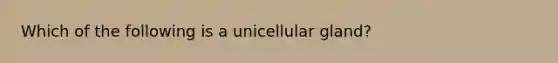 Which of the following is a unicellular gland?