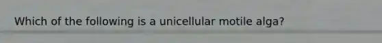 Which of the following is a unicellular motile alga?