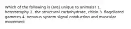 Which of the following is (are) unique to animals? 1. heterotrophy 2. the structural carbohydrate, chitin 3. flagellated gametes 4. nervous system signal conduction and muscular movement