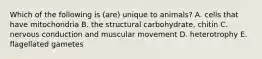 Which of the following is (are) unique to animals? A. cells that have mitochondria B. the structural carbohydrate, chitin C. nervous conduction and muscular movement D. heterotrophy E. flagellated gametes