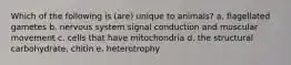 Which of the following is (are) unique to animals? a. flagellated gametes b. nervous system signal conduction and muscular movement c. cells that have mitochondria d. the structural carbohydrate, chitin e. heterotrophy