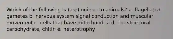 Which of the following is (are) unique to animals? a. flagellated gametes b. nervous system signal conduction and muscular movement c. cells that have mitochondria d. the structural carbohydrate, chitin e. heterotrophy