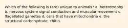 Which of the following is (are) unique to animals? a. heterotrophy b. nervous system signal conduction and muscular movement c. flagellated gametes d. cells that have mitochondria e. the structural carbohydrate, chitin