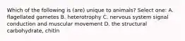 Which of the following is (are) unique to animals? Select one: A. flagellated gametes B. heterotrophy C. nervous system signal conduction and muscular movement D. the structural carbohydrate, chitin