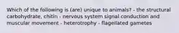 Which of the following is (are) unique to animals? - the structural carbohydrate, chitin - nervous system signal conduction and muscular movement - heterotrophy - flagellated gametes