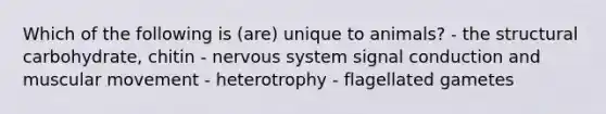 Which of the following is (are) unique to animals? - the structural carbohydrate, chitin - nervous system signal conduction and muscular movement - heterotrophy - flagellated gametes