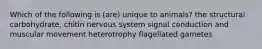 Which of the following is (are) unique to animals? the structural carbohydrate, chitin nervous system signal conduction and muscular movement heterotrophy flagellated gametes