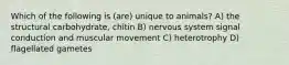 Which of the following is (are) unique to animals? A) the structural carbohydrate, chitin B) nervous system signal conduction and muscular movement C) heterotrophy D) flagellated gametes