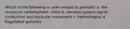 Which of the following is (are) unique to animals? a. the structural carbohydrate, chitin b. nervous system signal conduction and muscular movement c. heterotrophy d. flagellated gametes